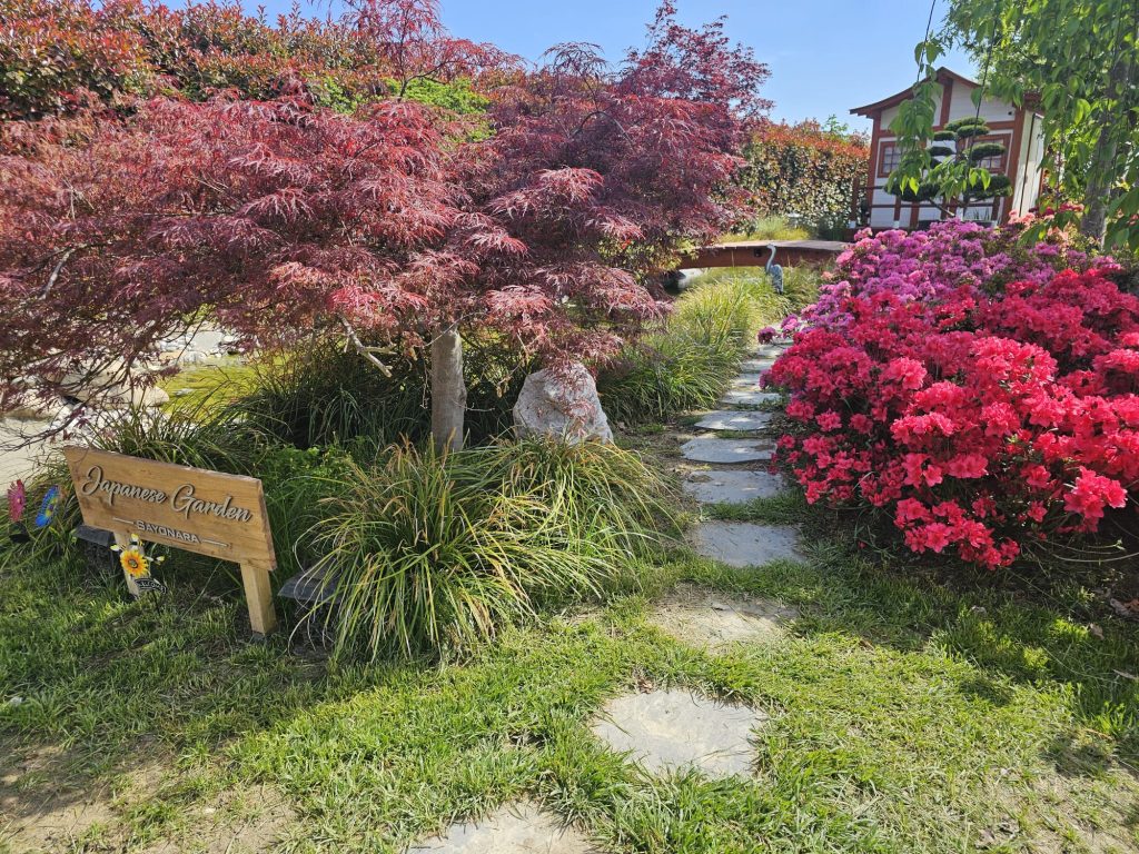 Un viaggio sensoriale tra natura, arte e spiritualità nel progetto che raccontiamo sul numero di giugno di Giardino Antico